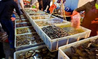 海鲜市场 爆料怎么做视频,揭秘幕后交易与新鲜资讯