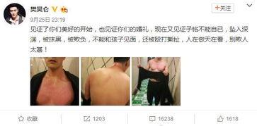 娱乐圈吃瓜熊婶是谁啊,娱乐圈神秘人物“吃瓜熊婶”揭秘  第1张